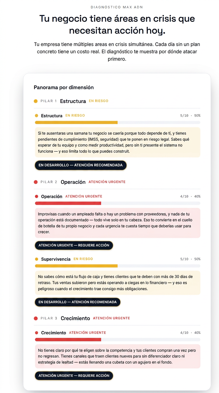 Panorama por dimensión del diagnóstico MAX ADN